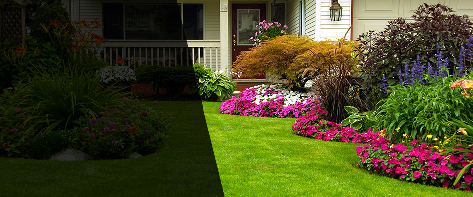 Morrisdale Landscapers